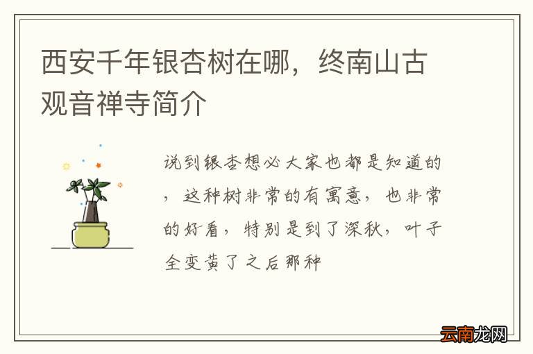 西安千年银杏树在哪，终南山古观音禅寺简介