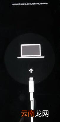 iPhone11一直显示白iPhone怎么办