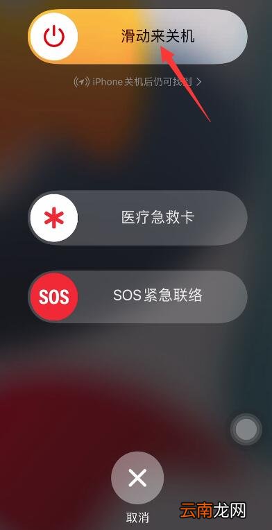 iPhone11一直显示白iPhone怎么办