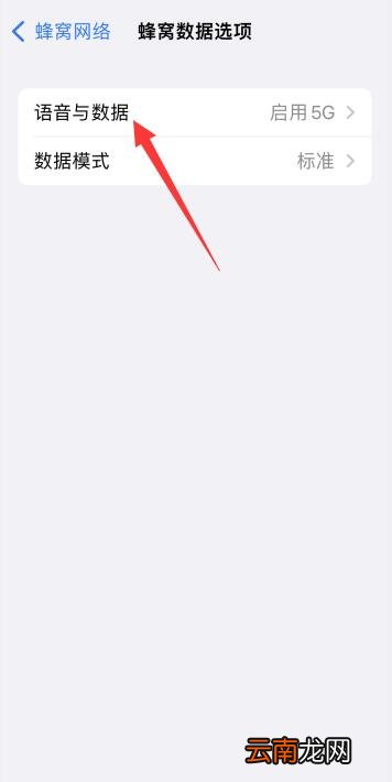 iPhone13插4G卡显示5G