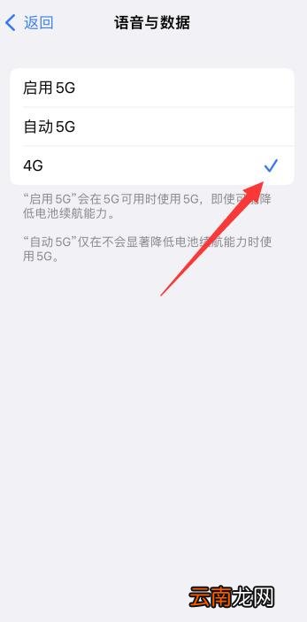 iPhone13插4G卡显示5G