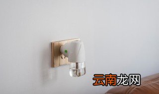 家里放什么东西去蚊虫 房间有蚊虫要放什么东西