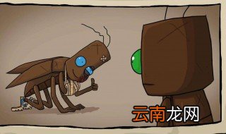 家里放什么防止蟑螂 家里放什么东西防蟑螂