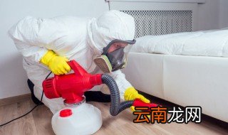 家里如何去虫 家里放什么东西去虫