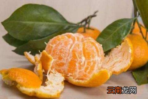 桔子皮水可以浇什么花