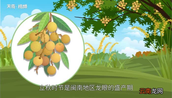 立秋吃什么 立秋吃什么传统食物