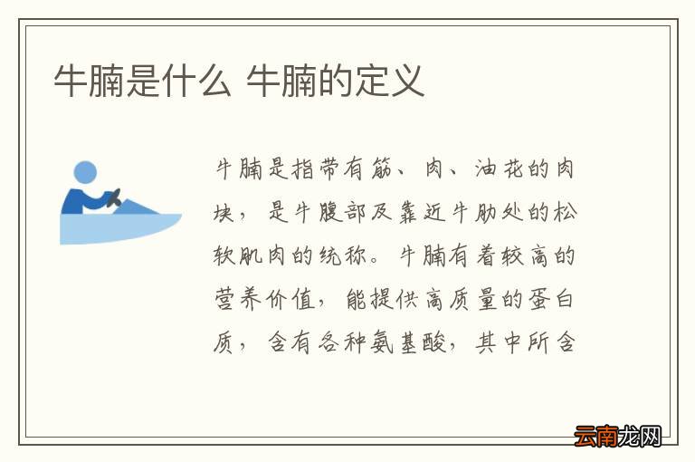 牛腩是什么 牛腩的定义