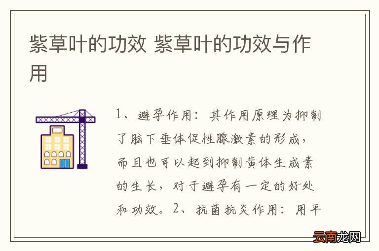 紫草叶的功效 紫草叶的功效与作用