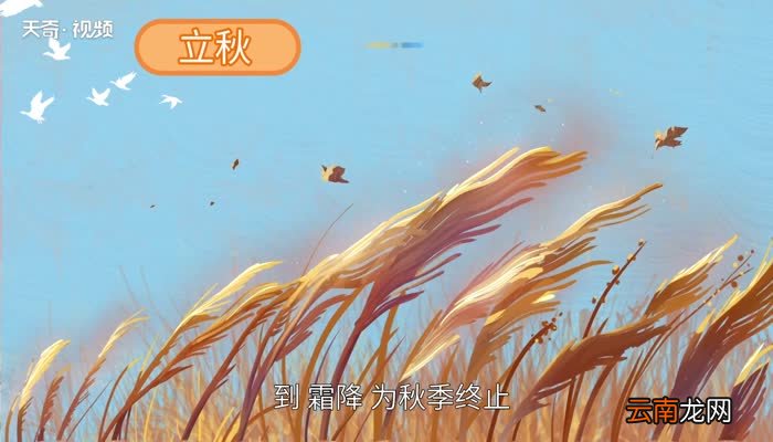 秋分是秋天了吗 秋分是秋天的开始吗