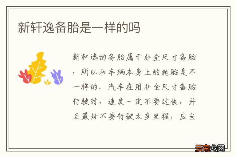 新轩逸备胎是一样的吗