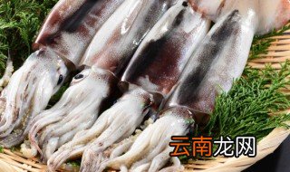爆炒章鱼足的做法 爆炒章鱼足的家常做法