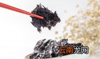 生蚝紫菜汤的做法 生蚝紫菜汤怎样做法