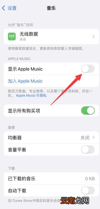 iPhone自带音乐怎么关闭在屏幕显示