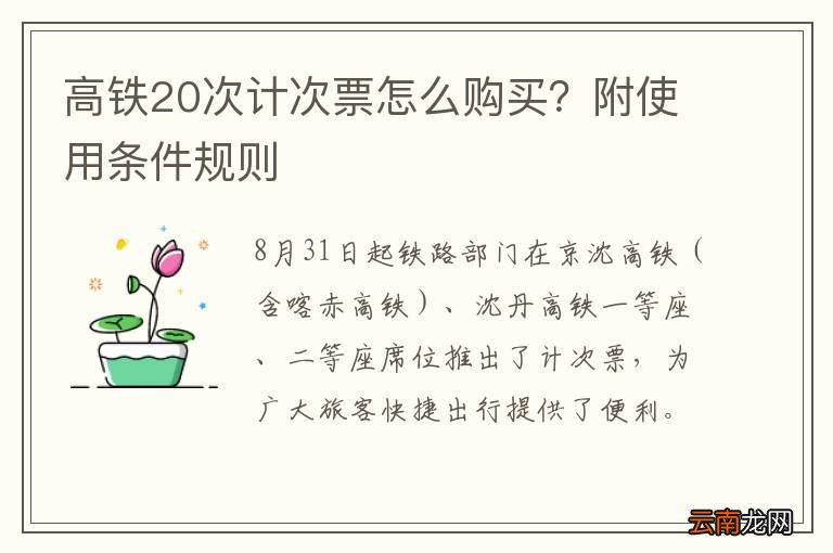 高铁20次计次票怎么购买？附使用条件规则