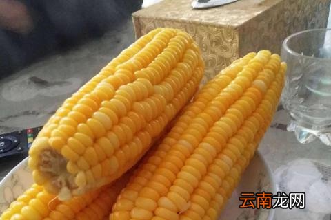 煮玉米需要多长时间