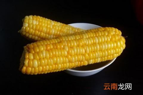 煮玉米需要多长时间