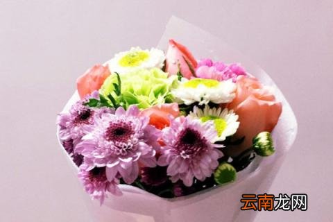 送花朵数的含义