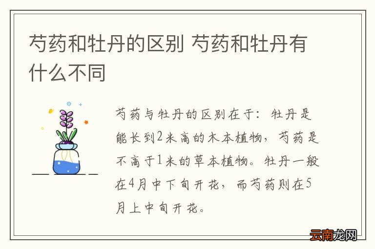 芍药和牡丹的区别 芍药和牡丹有什么不同