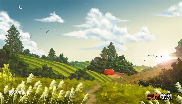 四时田园杂兴其三十一主要内容 四时田园杂兴其三十一主要内容是什么