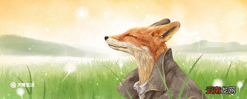 狐狸和樵夫告诉我们什么道理 伊索寓言狐狸和樵夫的寓意