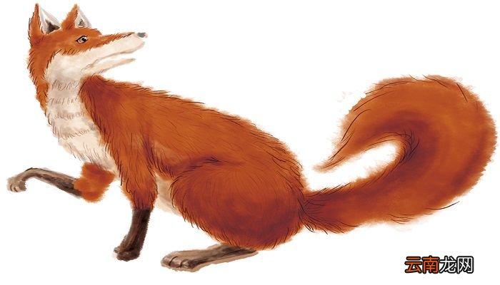 狐狸和樵夫告诉我们什么道理 伊索寓言狐狸和樵夫的寓意