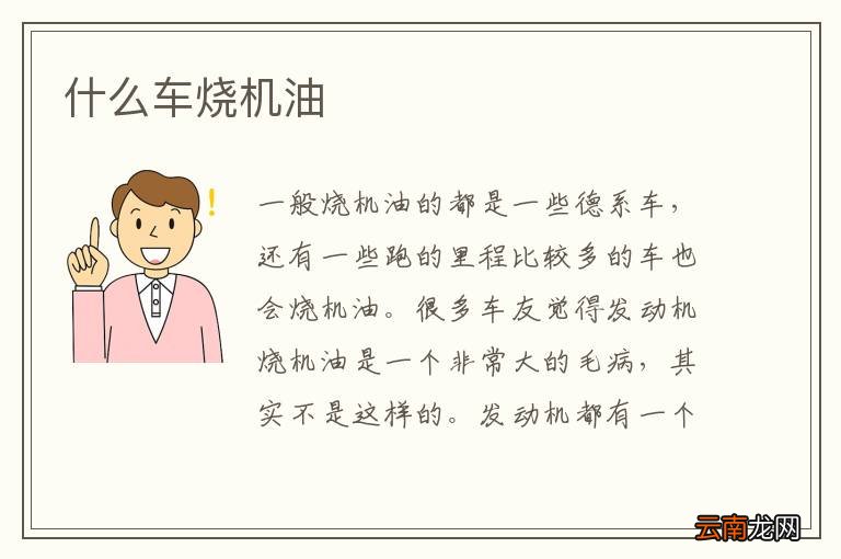 什么车烧机油