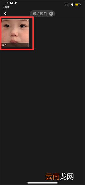 怎么给动图加文字