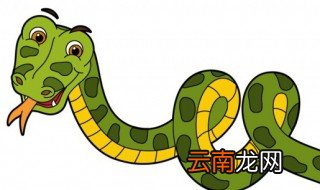 家里放什么蛇不敢进屋，家里放什么防止蛇进屋