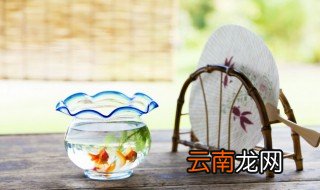 鱼缸适合放家里什么位置 鱼缸适合放家里什么位置风水