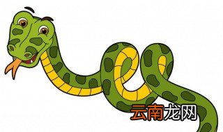 家里放什么蛇不敢来 家里放什么东西蛇不敢来