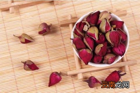 哪种月季可以吃