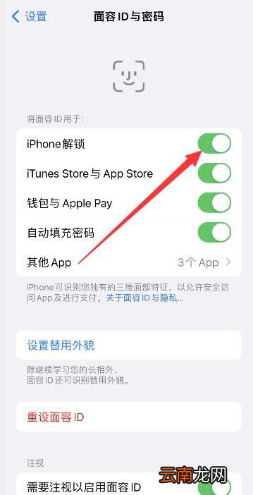 iPhone13怎么扫脸直接进不上滑