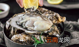 香煎蚝饼的做法 香煎蚝饼怎么做