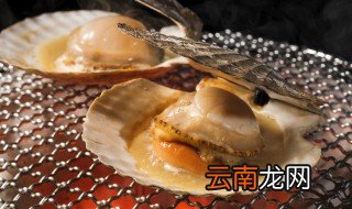 裙边扇贝肉的做法 教你裙边扇贝肉的做法