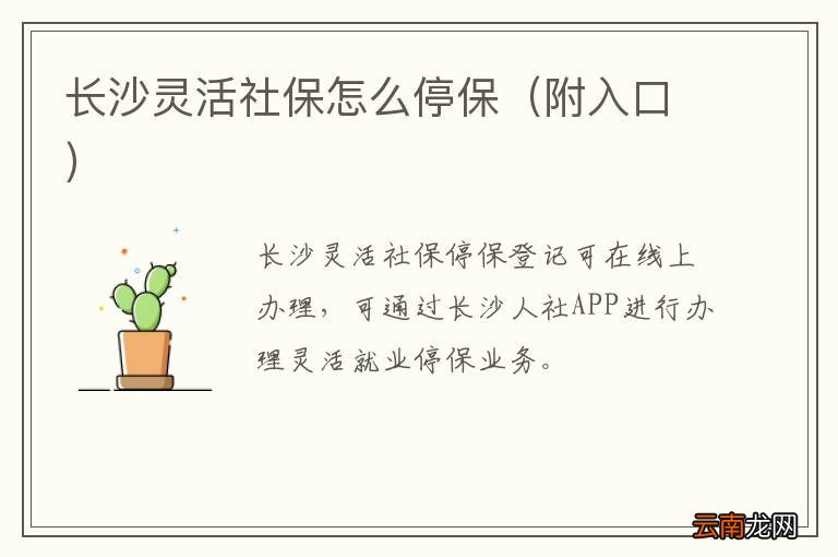 附入口 长沙灵活社保怎么停保