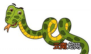家里放什么防蛇，家里放什么可以预防蛇出没