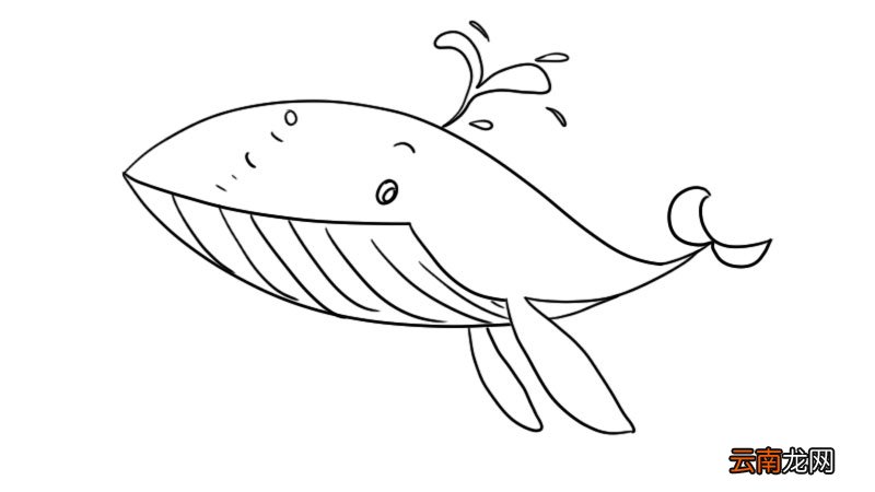 须鲸简笔画步骤须鲸简笔画画法
