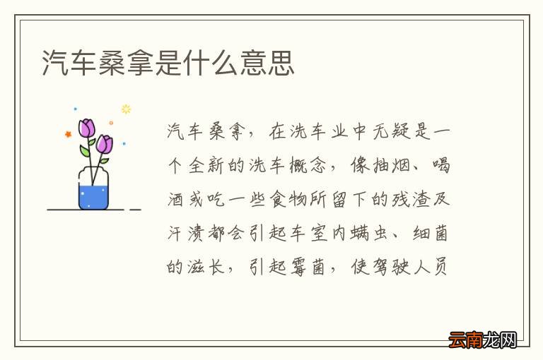 汽车桑拿是什么意思
