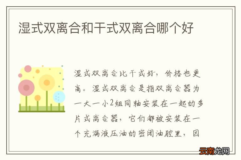 湿式双离合和干式双离合哪个好
