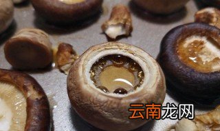 蘑菇怎么做好吃 烤蘑菇怎么做好吃