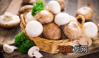 红椒清炒牛排菇怎么做好吃 红椒清炒牛排菇如何做好吃