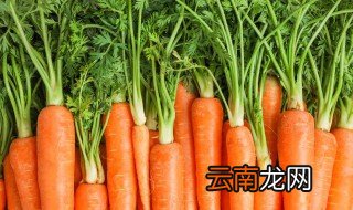 怎么做红萝卜炒蘑菇冬瓜好吃 如何做红萝卜炒蘑菇冬瓜好吃