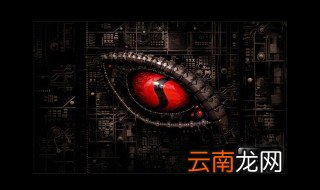 骁龙是什么意思 做过什么产品