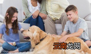 家里管得严 家里管的严怎么办