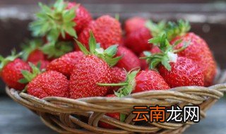 南方种植草莓几月份种植最好呢 南方种植草莓的方法