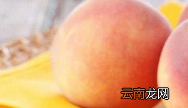 桃子的功效与作用 吃桃子的好处有哪些