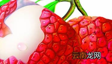 荔枝的食疗功效 荔枝的食疗吃法