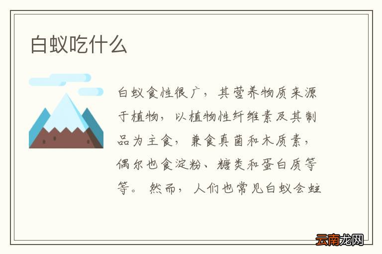 白蚁吃什么