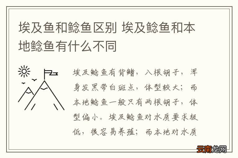 埃及鱼和鲶鱼区别 埃及鲶鱼和本地鲶鱼有什么不同