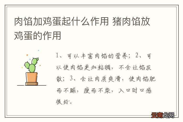 肉馅加鸡蛋起什么作用 猪肉馅放鸡蛋的作用